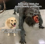 australia_new_zealand_predators.jpg