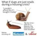 what_if_slugs_are_just_snails_during_a_housing_crisis.jpg