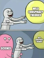 the_human_brain_wild_conspiracy_theories.jfif