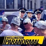 tin_hats_parliament_occupation_wellington_paranormal.jfif.jpg