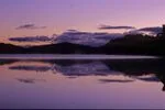 273.3 Lake Waikareiti at dawn Te Urewera NP East Coast.jpg