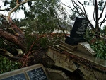 Storm damage Karori Cemetery June 2013.tif