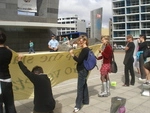 Meat Producers Conference Protest Wellington March 2007 62.JPG