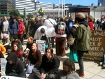 Te Papa Protest Wellington October 2006 44.JPG