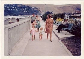 cover image for The Great Kiwi Summer