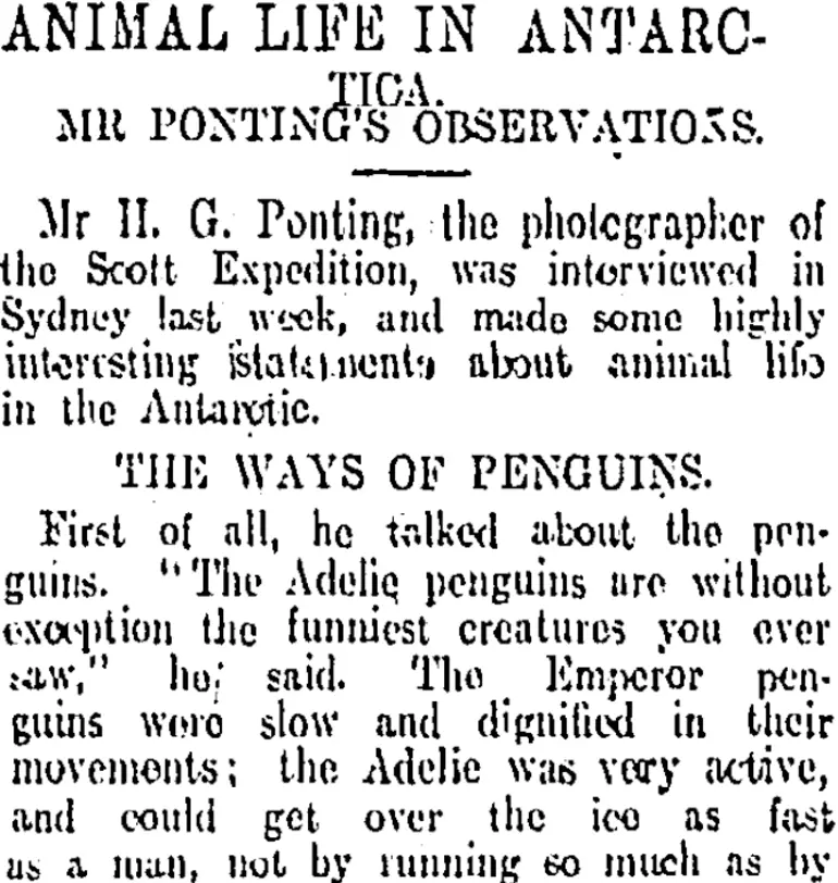 Image: ANIMAL LIFE IN ANTARCTICA. (Otago Daily Times 1-5-1912)