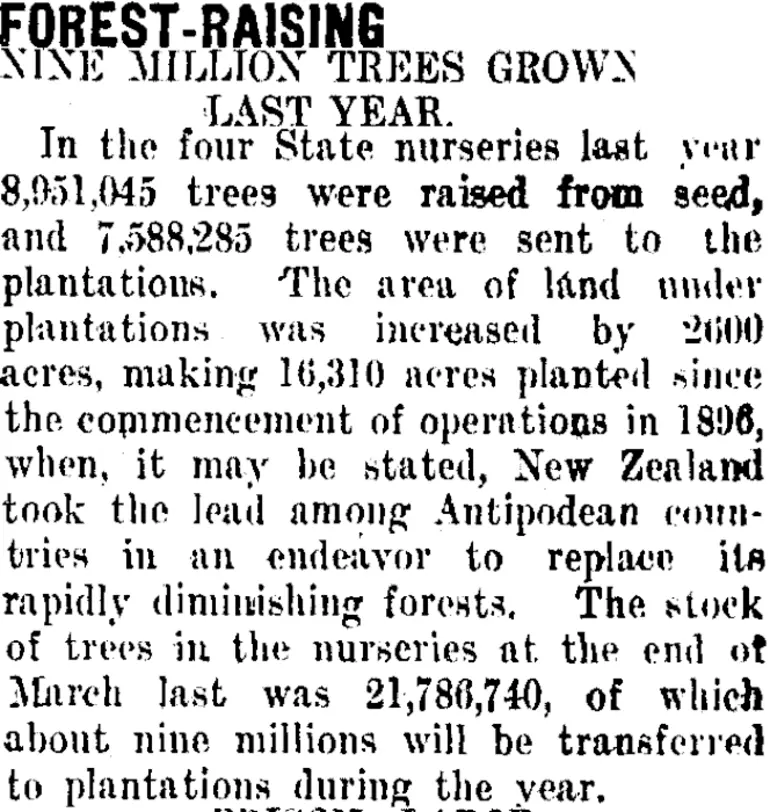 Image: FOREST-RAISING (Taranaki Daily News 1-9-1911)