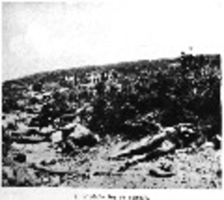 Image: 2. Armistice Day on Gallipoli