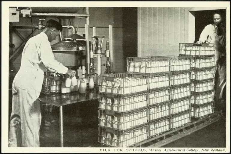 Image: Crating Milk for Schools, Massey Agricultural College