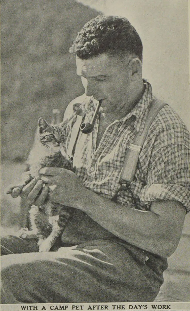Image: A man holds a cat while smoking his pipe after a day's work at the Aniseed camp near Kaikoura
