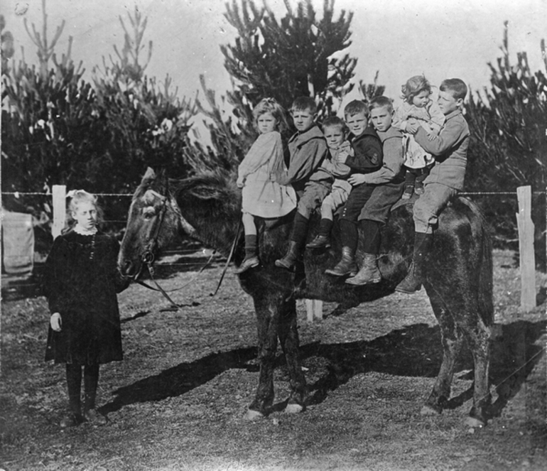 Image: Thomas family on a horse