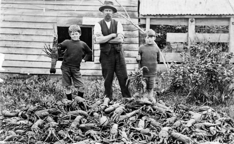 Image: Man, two boys, and a pile of crayfish, at the back of Harry Daniel's fish shop, Manaia