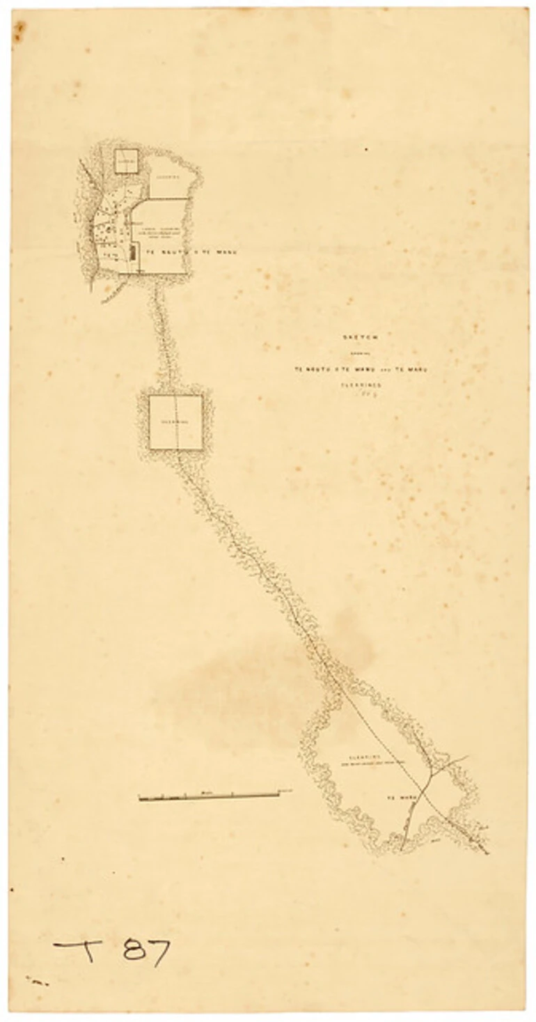 Image: Battle of Te Ngutu o te Manu, 1868