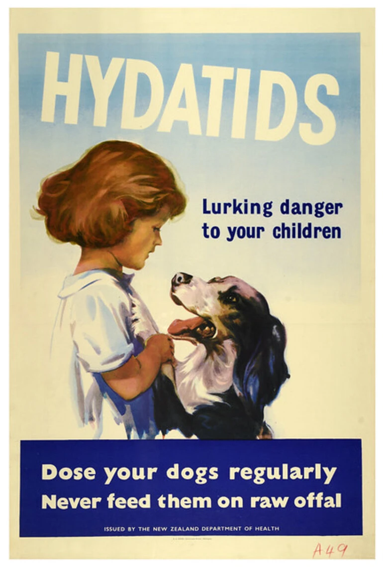 Image: Hydatids Lurking Danger to Your Children