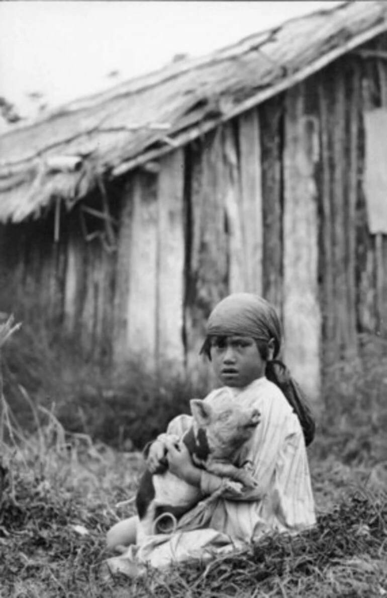 Image: [Maori girl holding piglet]