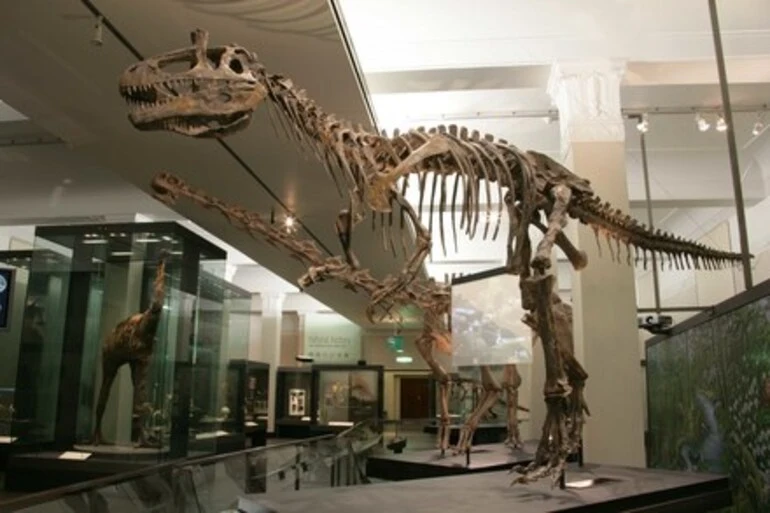 Image: Cryolophosaurus ellioti