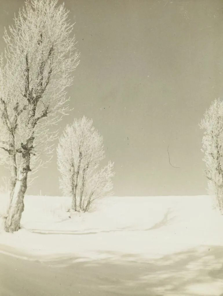 Image: [winter landscape]