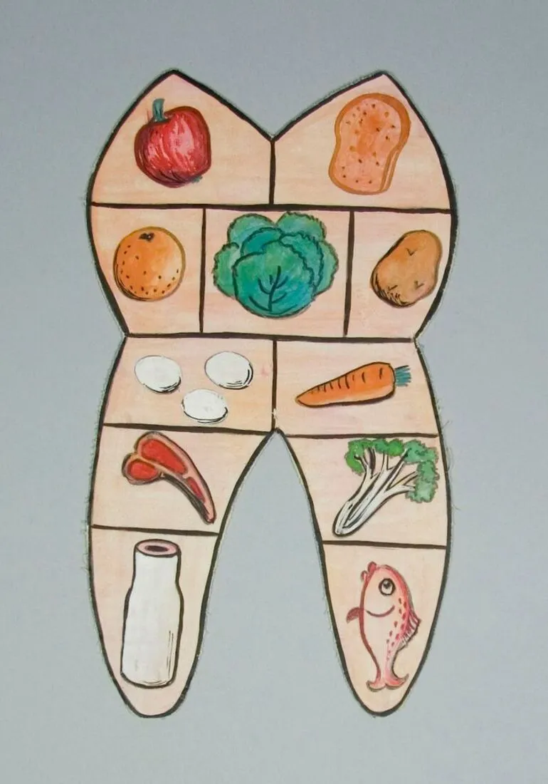 Image: Educational display (dental health) - Tooth food pyramid