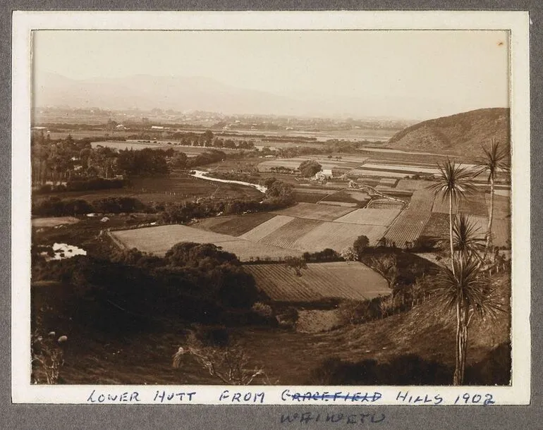 Image: 'Lower Hutt from Waiwetu Hills 1902'