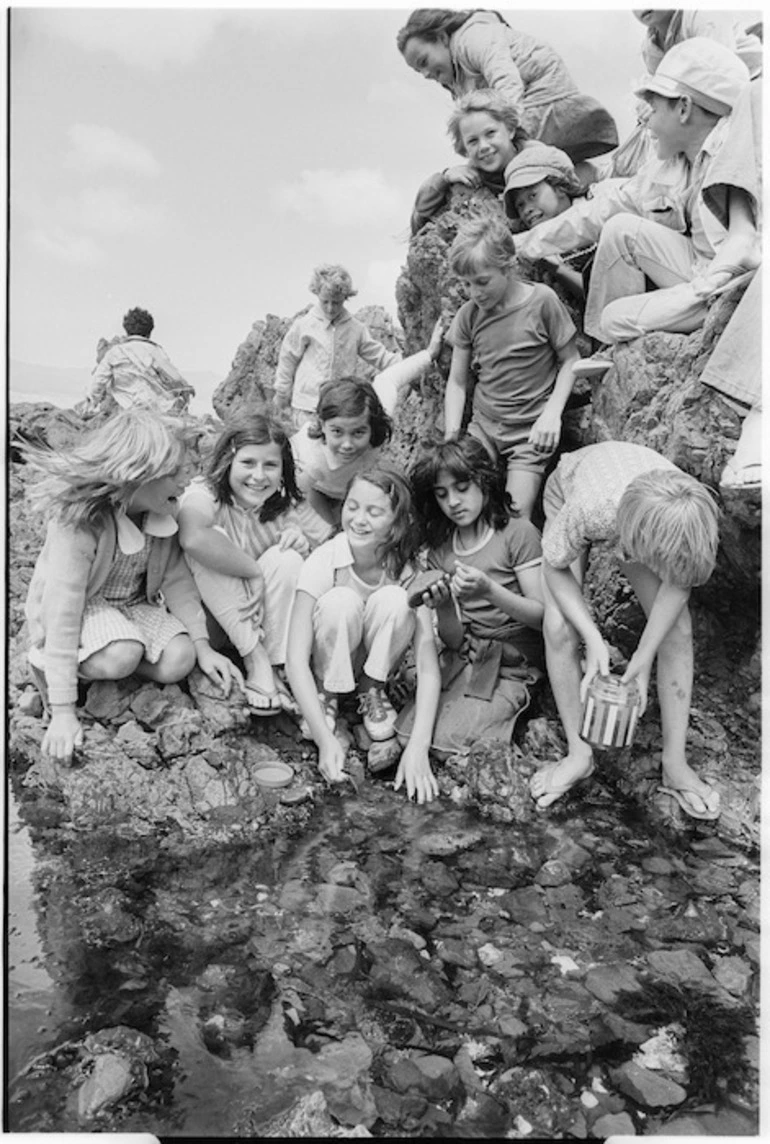 Image: Standard Four pupils of Lyall Bay School on trip to Houghton Bay - Photograph taken by Ross Giblin