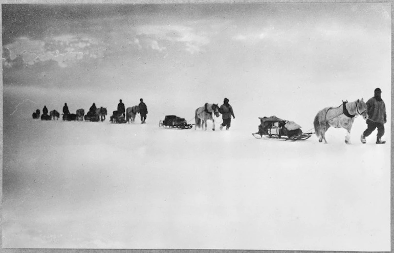Image: Ponies pulling sleds in the Antarctic - Photograph taken by Captain Robert Falcon Scott