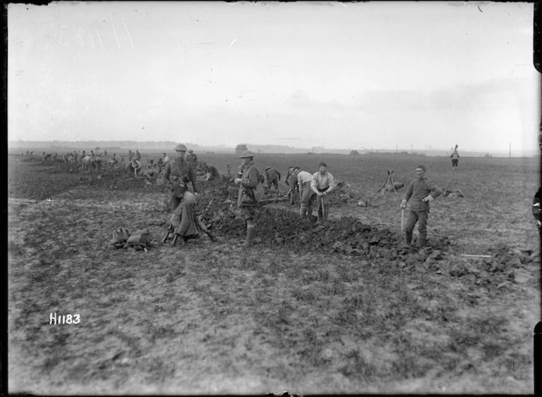Image: New Zealand troops digging trenches in France, World War I