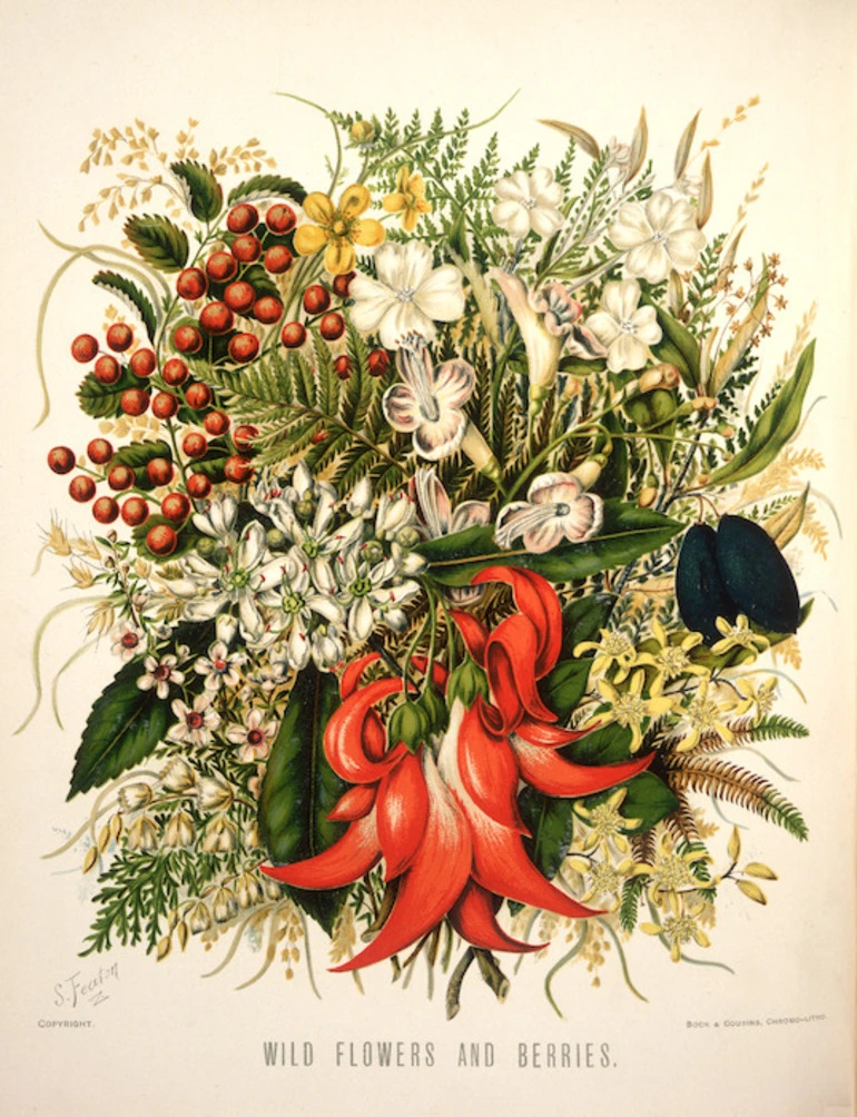 Image: Featon, Sarah Anne, 1848-1927 :Wild flowers and berries. S. Featon Copyright. Bock and Cousins Chromo-Litho. [Wellington, 1889]