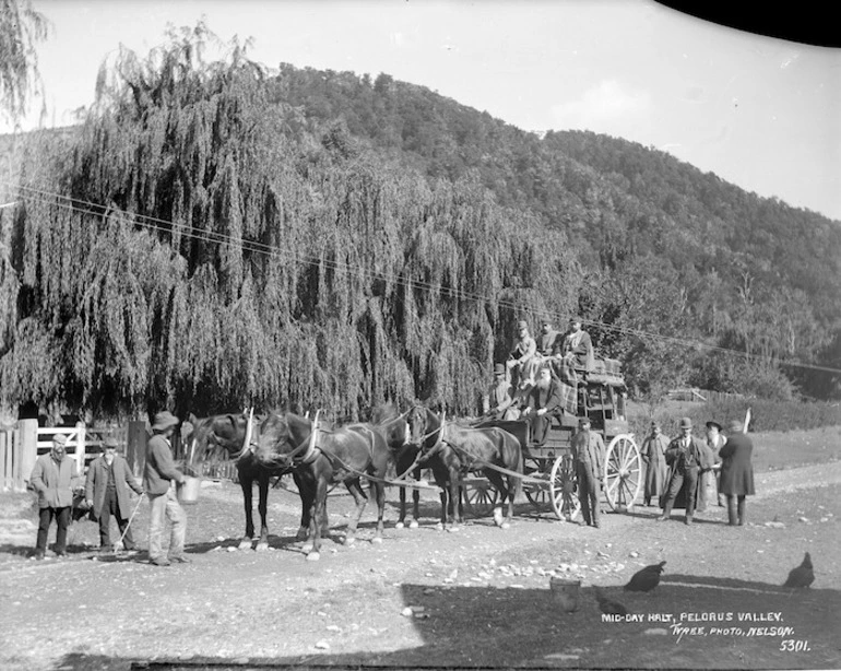 Image: Mid-day halt for a Cobb & Co coach, in the Pelorus Valley