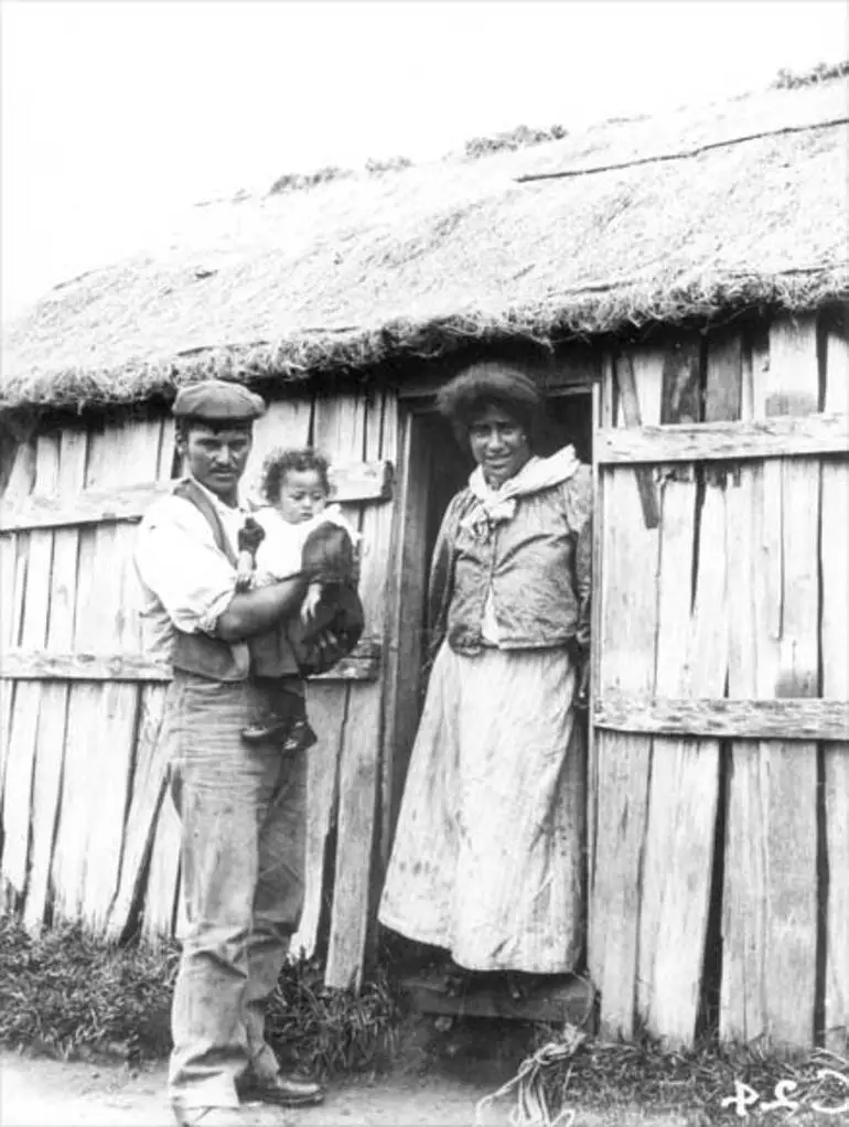 Image: Māori dwelling, 1900s