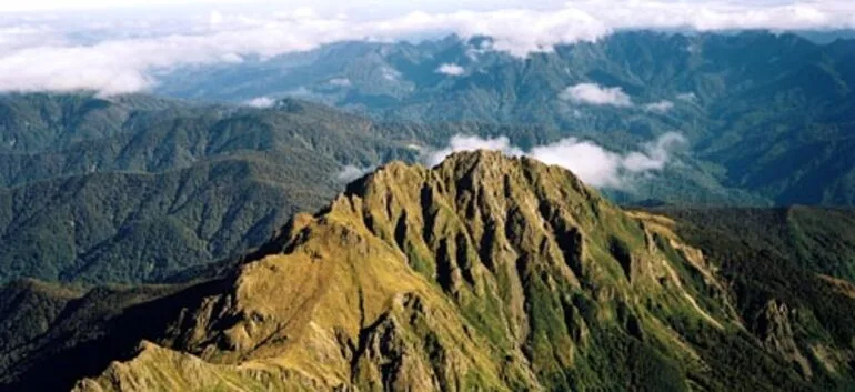 Image: Mt Hikurangi