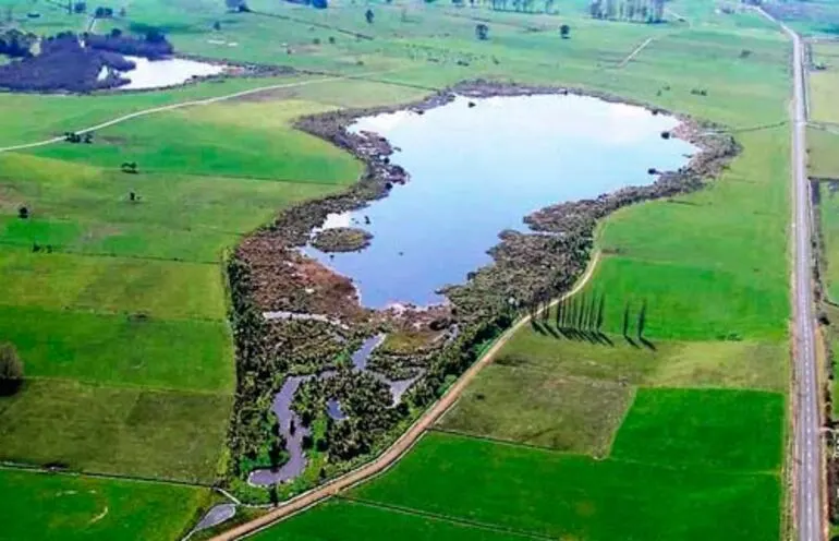 Image: Wetland restoration