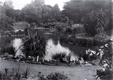 Image: Lily pond in the Christchurch Botanic Gardens