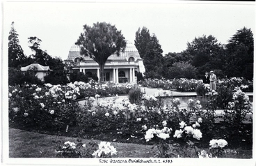 Image: The rose garden in the Christchurch Botanic Gardens, early 1950s