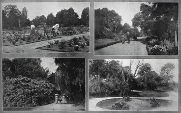 Image: Christchurch Botanic Gardens