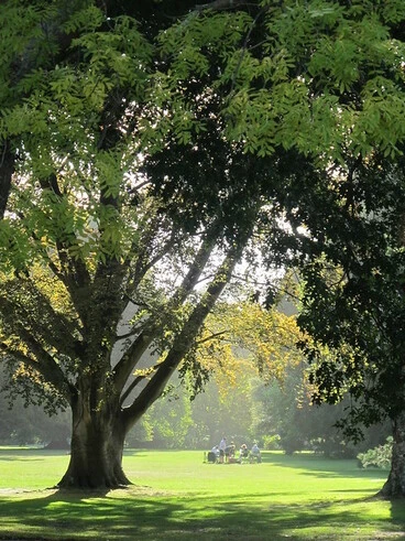 Image: Botanic Gardens