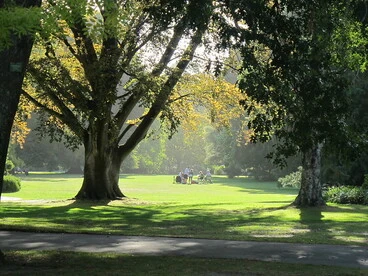Image: Botanic Gardens