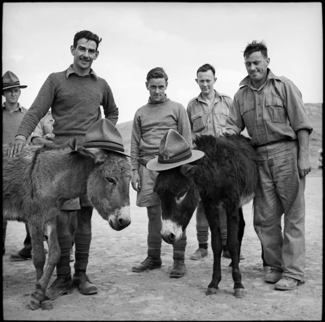 Donkeys at race meeting held by 36 NZ Survey Bty in Trans Jordania, World War II - Photograph taken by M D Elias