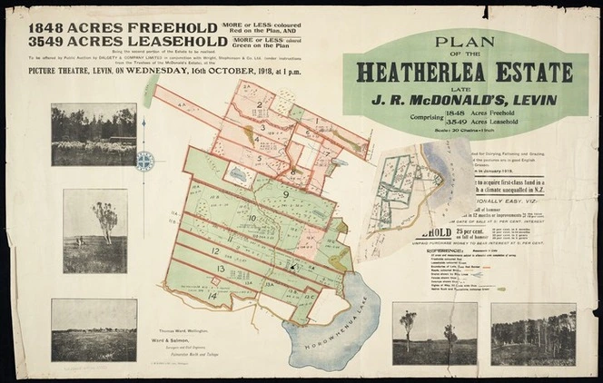 Plan of the Heatherlea estate, late J.R. McDonald's, Levin [cartographic material] / surveyed by Thomas Ward ; Ward & Salmon, surveyors & civil engineers.