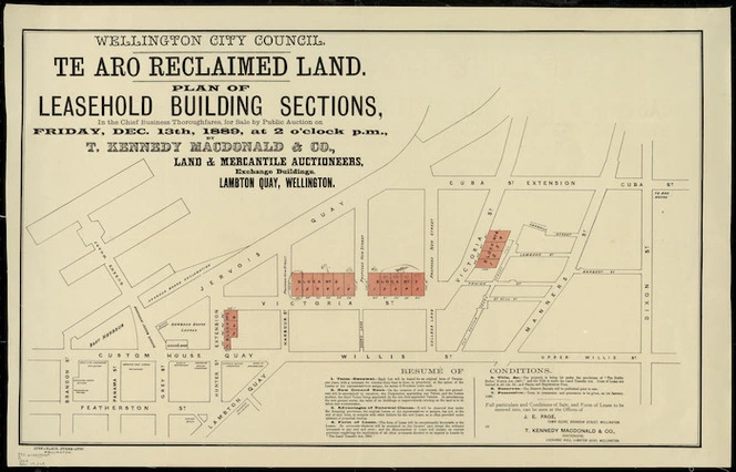 Te Aro reclaimed land [cartographic material] : plan of leasehold building sections.