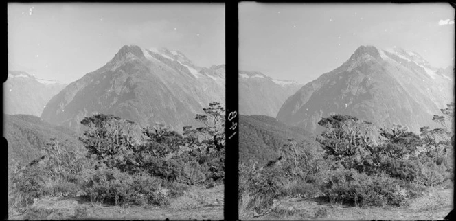 Scene with snow-capped mountains, [Fiordland National Park, Southland District?]