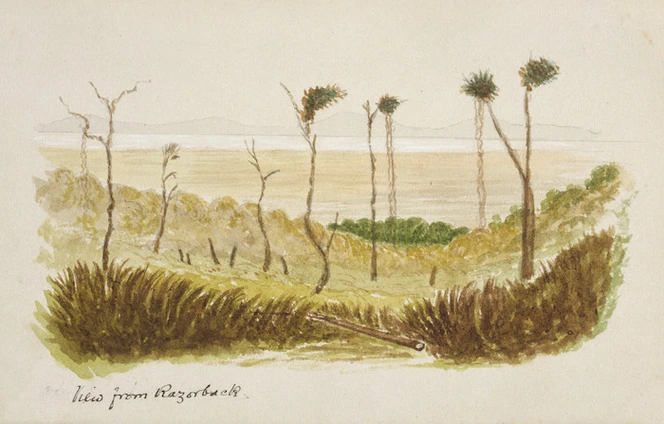 Hamley, Joseph Osbertus, 1820-1911 :View from Razorback [1864]