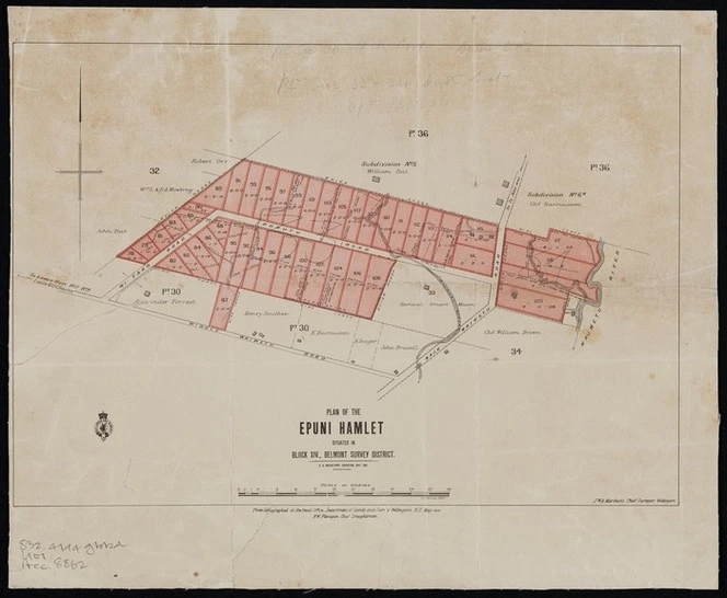 Plan of the Epuni hamlet situated in Block XIV Belmont Survey District  / C.A. Mountfort, surveyor.