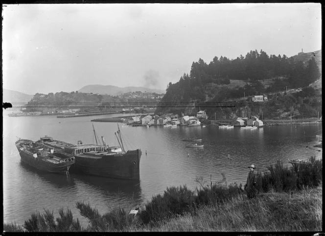 View across Carey's Bay, Port Chalmers.