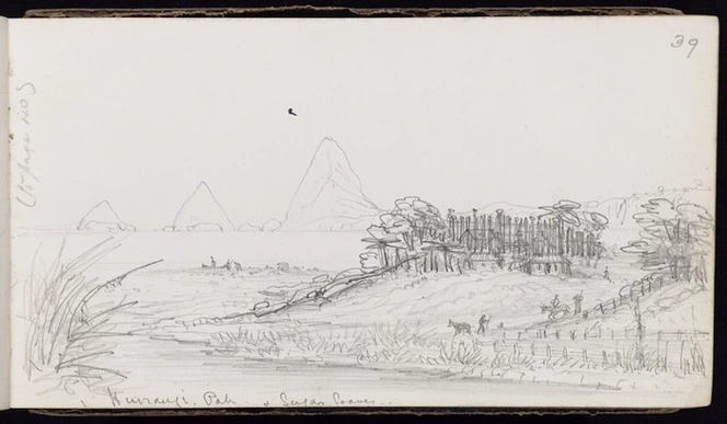 Warre, Henry James, 1819-1898 :Native pahs taken and destroyed - Taranaki, June 4 1863 - April 28 [1864]