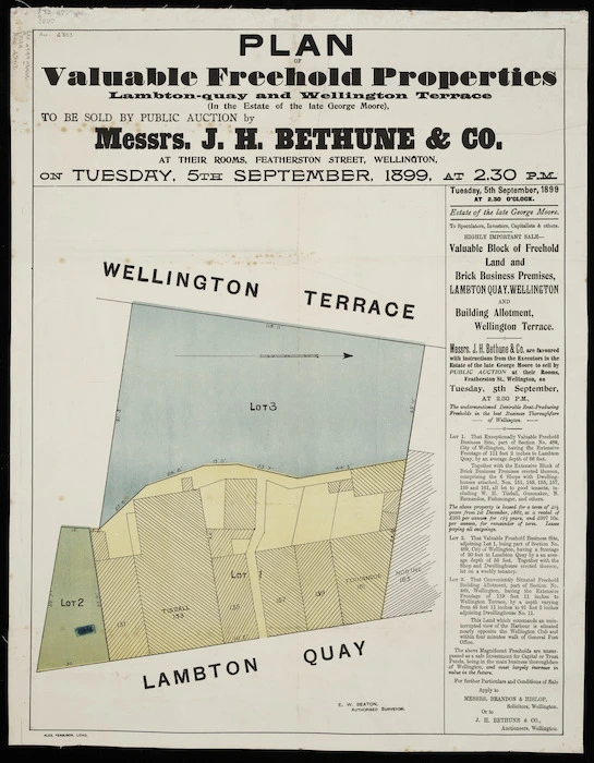 Plan of valuable freehold properties, Lambton Quay and Wellington Terrace [cartographic material].