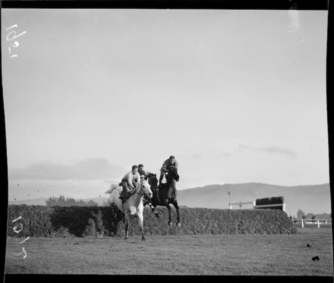 Early morning racing trials at Trentham