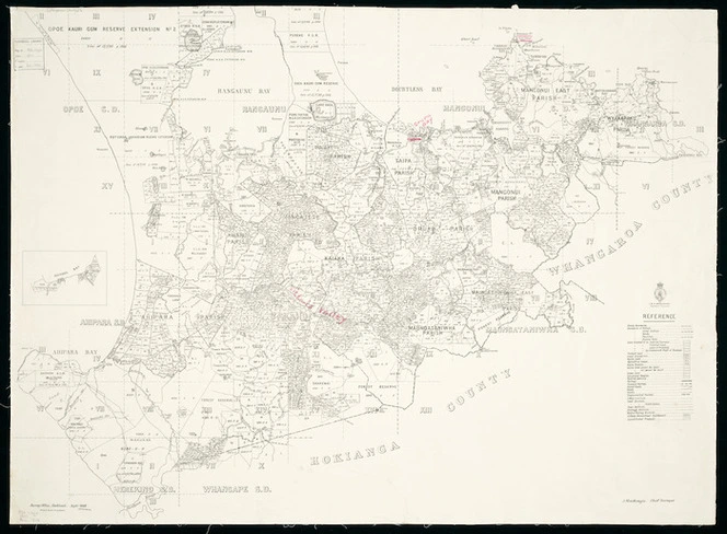 [Mangonui County] [cartographic material].