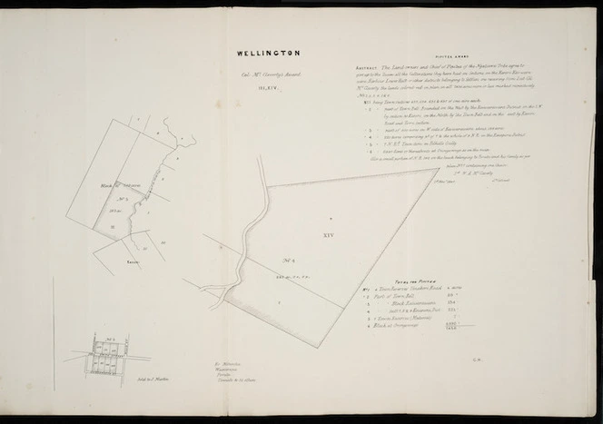 Wellington, Col. McCleverty's Award III, XIV [cartographic material].