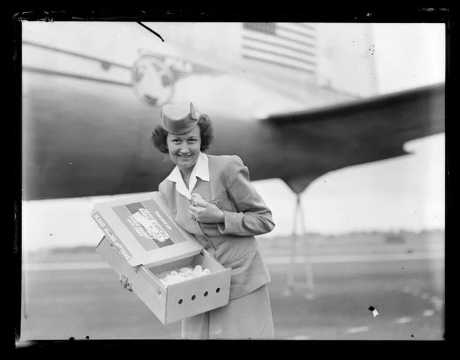 Stewardess, Mrs McFarland, with baby chicks, PAWA (Pan Am World Airways)