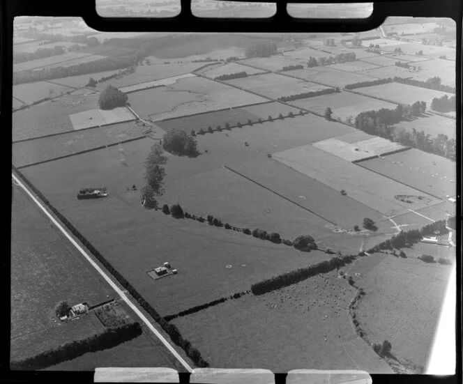 Leamington, Waikato District, view of fields mown with haystacks, tree windbreaks, fields with crops surround, access road and farm buildings